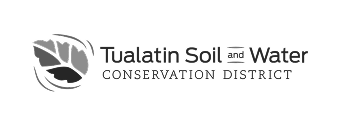 Logo-6