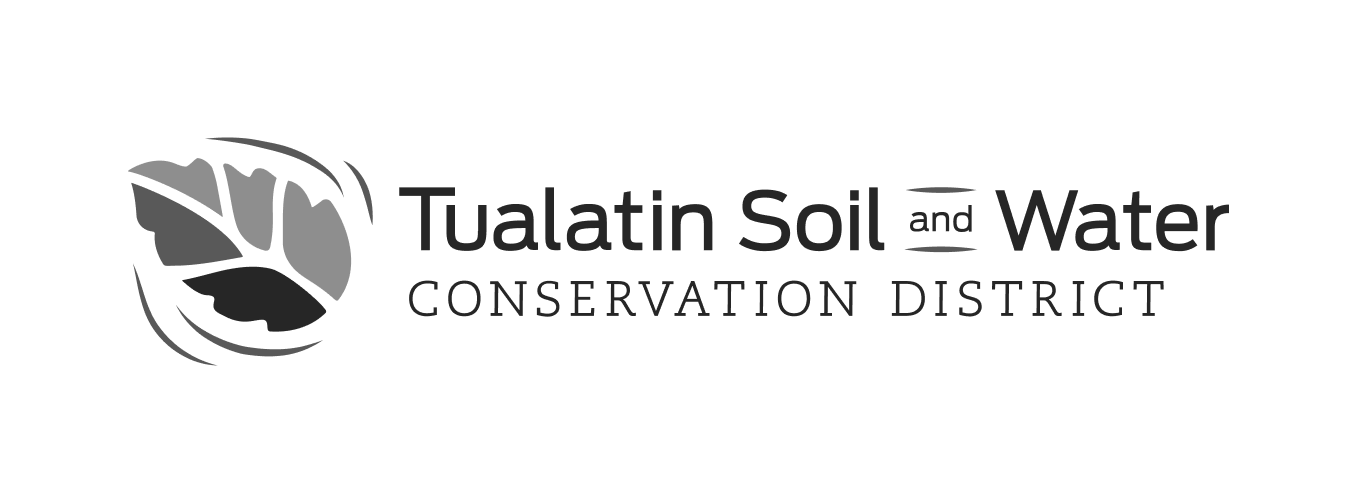 Logo_1_4-3
